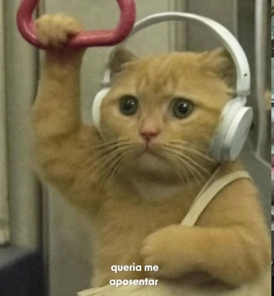 Mood dessa quinta ☺️😌