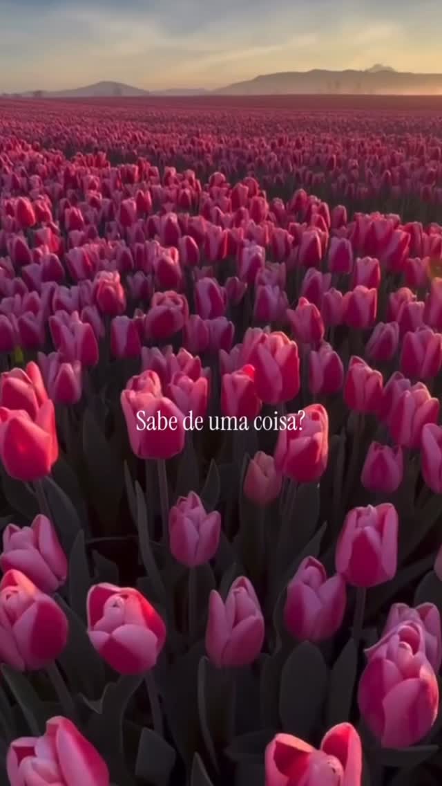 Talvez você precisa escutar isso hoje 💖🙏🏼